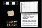 Foto (Objekt + Etikett) von Longodromites angustus (Reuss, 1858)  (NHMW-GEO-2014-0194-0131)